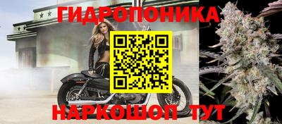 альфа пвп Аргун