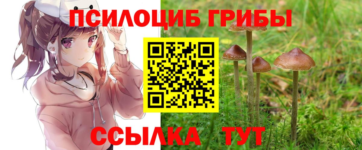 Псилоцибиновые грибы прущие грибы  Псилоцибиновые грибы мицелий  Асино  Вход с VPN 